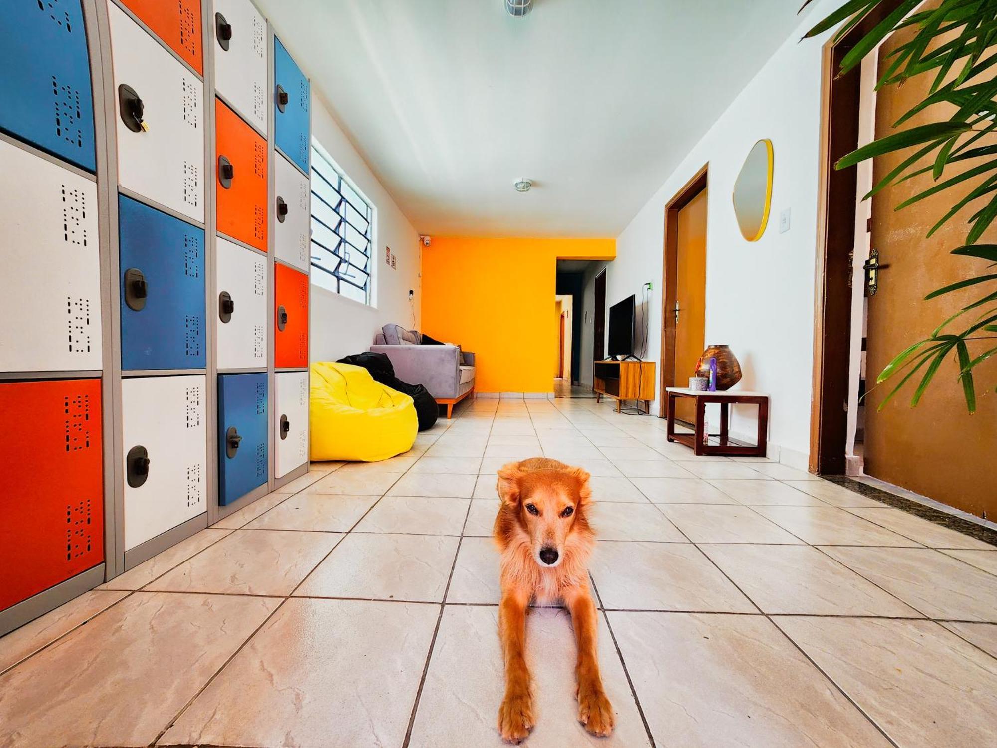 Hostel Trem Bao De Dormir Recife Eksteriør billede